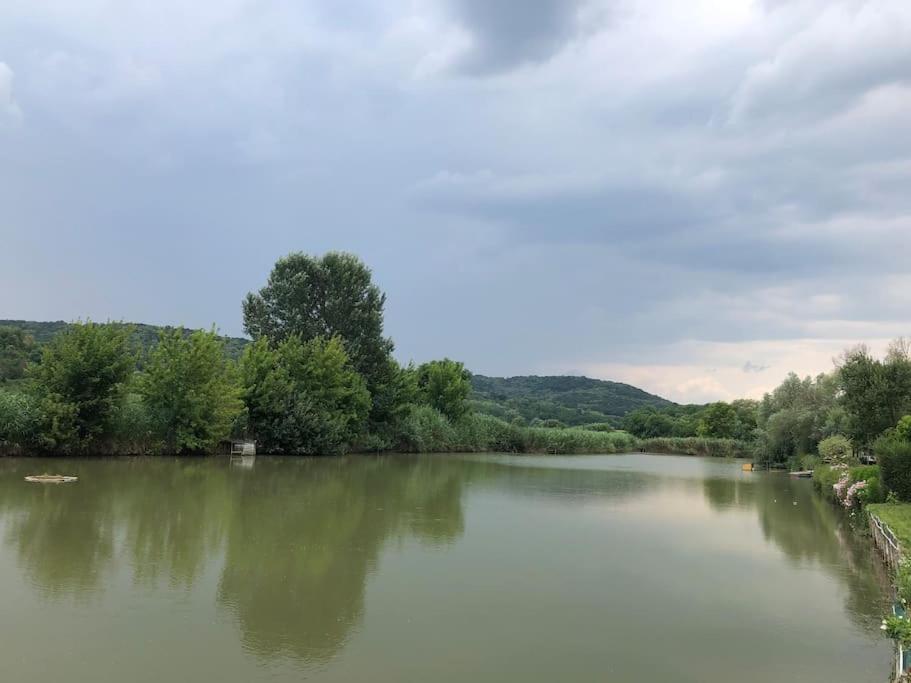 Domeglamping At Fishinglake Ságvár エクステリア 写真